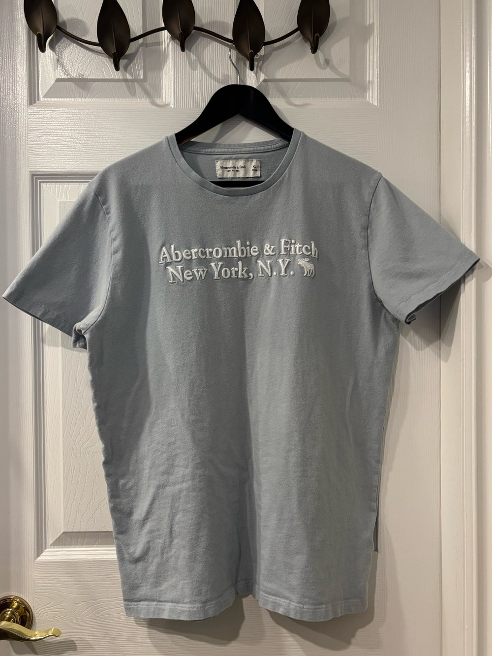 Abercrombie & Fitch Men's Pale Blue Embroidered Logo Tee
